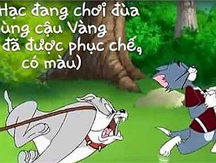 Các tác phẩm văn học trở nên lầy lội khó đỡ khi ghép vào cảnh phim