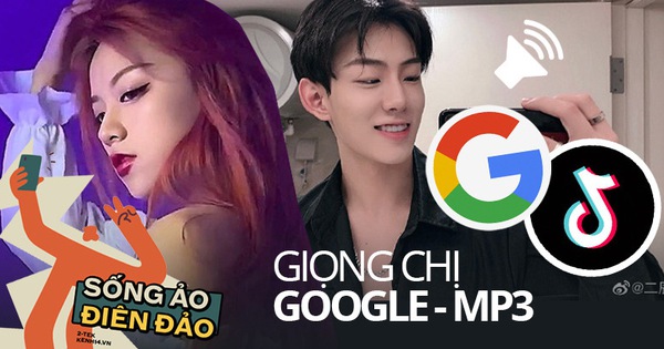 Từ điển đu trend TikTok, lưu ngay bí kịp tạo file âm thanh giọng chị Google cực nhanh