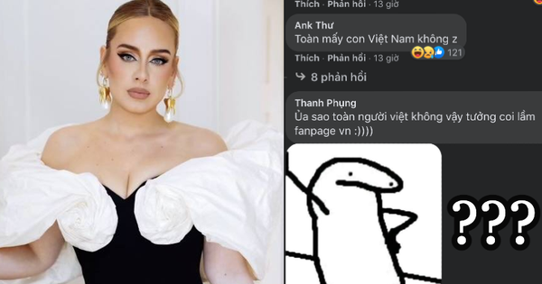 Fanpage 68 triệu người theo dõi của Adele bị netizen Việt ồ ạt tấn công, vì sao lại thế?