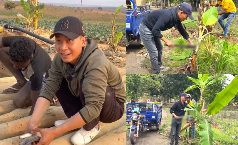 Quang Linh mang làng quê Việt sang Angola: 