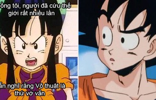 Dragon Ball: Vợ chồng Goku và Chichi trở thành bể muối để fan chế meme hài hước