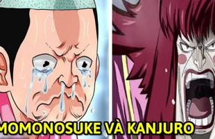 One Piece: 5 nhân vật phù hợp nhất để kết liễu kẻ phản bội Kanjuro