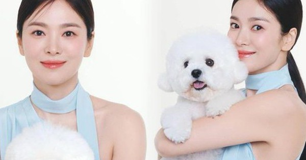 Song Hye Kyo bất ngờ đưa "con ruột" đi chụp hình quảng cáo, nhìn là thấy cực cưng chiều