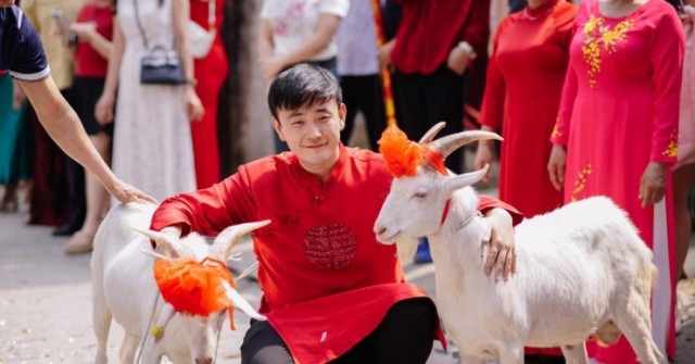 Chú rể dắt 2 con dê đi đón vợ, phía sau là câu chuyện đầy hài hước