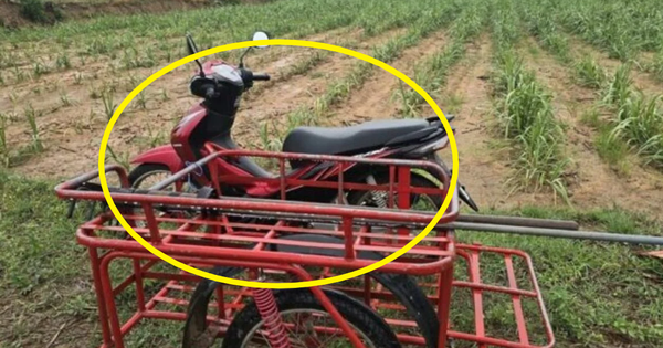 Không nghe lời khuyên của vợ, nhất quyết đi ra đồng lúc mưa gió, người đàn ông gặp cái kết bi thảm