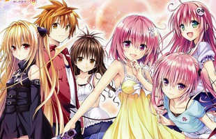 7 tựa anime đình đám của Xebec - xưởng phim Ecchi vừa mới bị giải thể sau 24 năm hoạt động