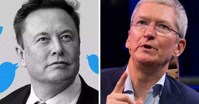 Elon Musk muốn gặp Tim Cook để 