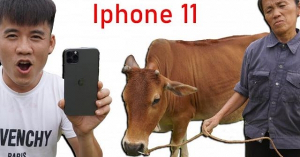 Con trai bà Tân Vlog lừa mẹ bán bò để mua Iphone 11 max pro 40 triệu đồng