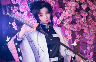 Trùng trụ Kochou Shinobu thoát tục tựa tiên nữ qua loạt ảnh cosplay đẹp mê hồn