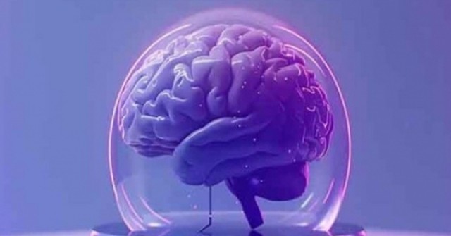 Phòng thí nghiệm nuôi não mini để vận hành máy tính