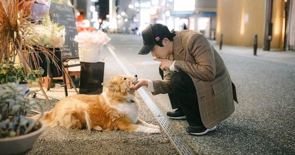 Kim Hyun Joong được báo Hàn khen vì ánh nhìn chú chó trìu mến, ai dè Knet “dội bom” vì phát hiện chi tiết gây tranh cãi