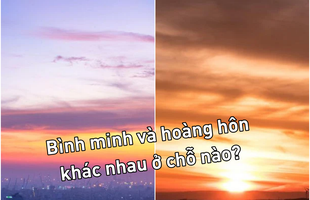 Đây là những câu hỏi tưởng đơn giản nhưng chả hiểu sao chưa trả lời được