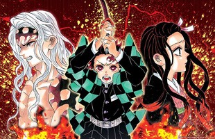 Kimetsu no Yaiba: Hành trình diệt quỷ khép lại ở chương 205, tác giả chưa có dự định tương lai sau khi bộ truyện kết thúc