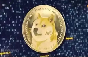 Buồn cho nhà sáng lập DogeCoin, bán hết số coin chỉ đủ mua chiếc Honda Civic cũ, giờ vốn hóa DogeCoin còn gấp đôi Honda