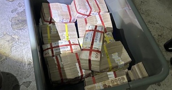 Cô gái sốc nặng khi tìm thấy 9,5 tỷ đồng trong chiếc hộp vứt cạnh thùng rác