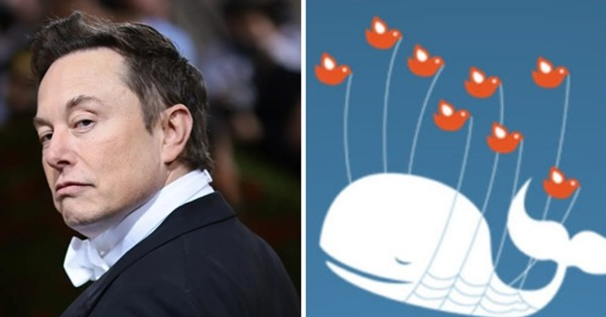 Người dùng Twitter than trời vì lỗi, Elon Musk ra thông báo nhưng bị cho là quá “cùn”