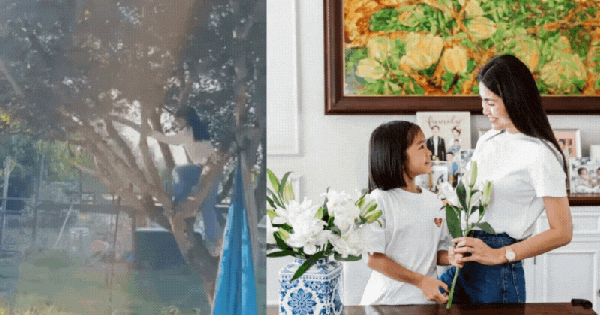 Tăng Thanh Hà dạy con kiểu “hào môn”: Cho con gái trèo cây, đi xe địa hình giữa trời Tây mà không ngại nguy hiểm