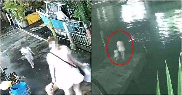 Mẹ dắt con gái ra cầu tàu rồi nhảy xuống biển, để lại di thư khiến ai cũng nghẹn ngào