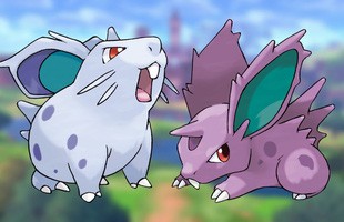 Cơ chế “giới tính” của Pokémon khá thú vị, loài vô giới tính cũng có thể phối giống đấy nhé!