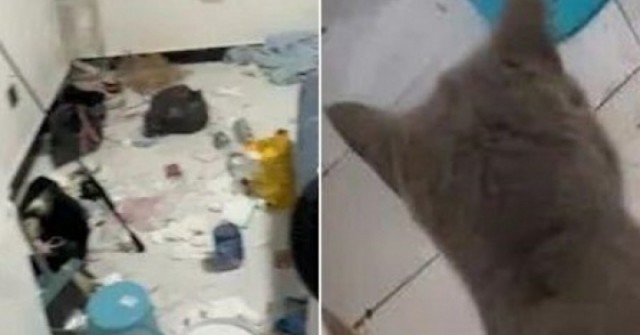 Cặp đôi thuê trọ rời đi, chủ nhà phát hoảng khi mở cửa căn hộ