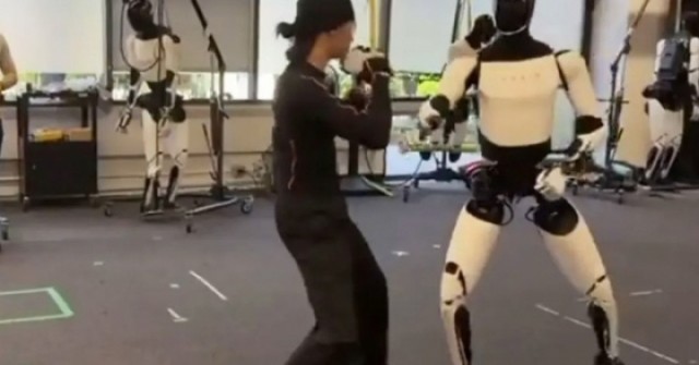 Robot hình người Tesla đấu võ với người thật
