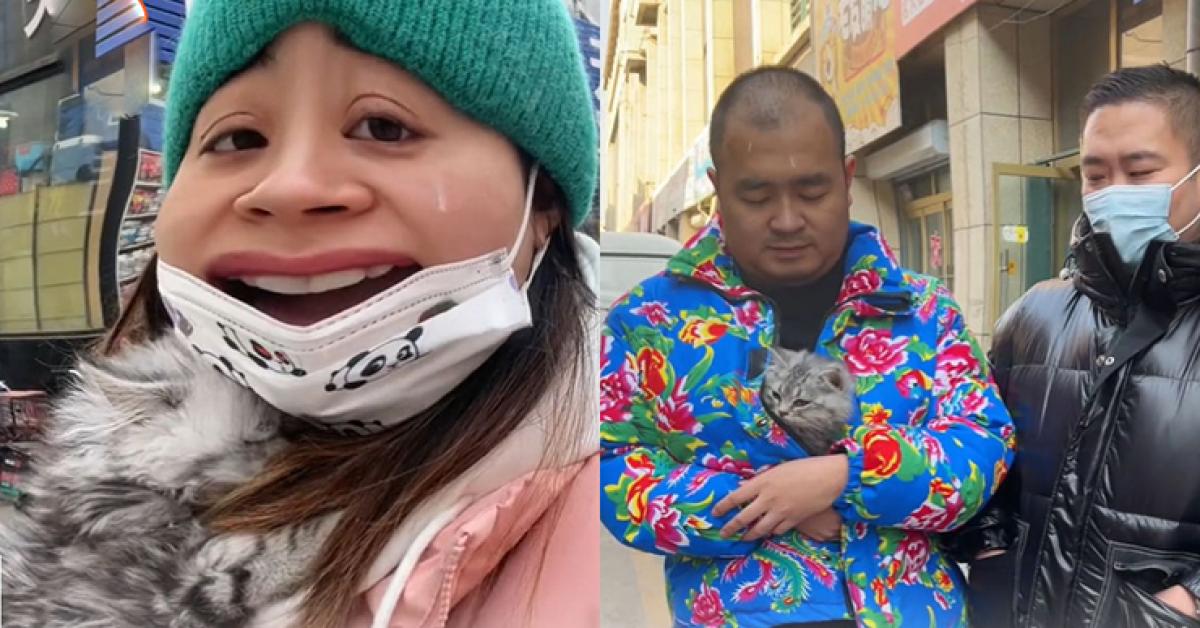 Chủ cửa hàng thú cưng “gán nợ” bằng mèo và cái kết bi hài