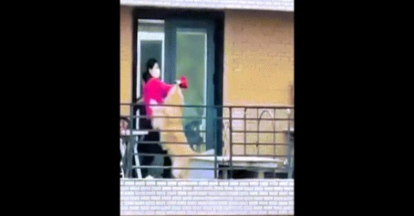 Clip: Bị cách ly vì dịch bệnh, cô gái đem chó cưng ra 