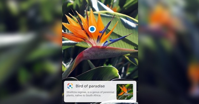 Google Lens bổ sung loạt tính năng mới, số hóa chữ viết tay nhanh chóng