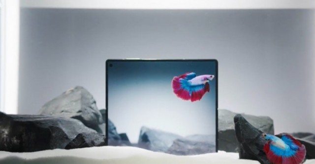 Vivo X Fold 5 là smartphone gập đầu tiên đạt tiêu chuẩn chống nước, bụi và va đập