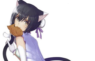 16 nàng mèo xinh đẹp và dễ thương được yêu thích nhất trong anime