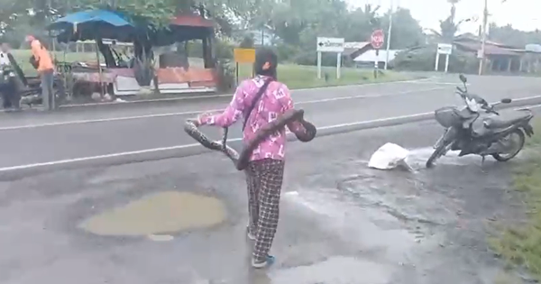 Đang đi dạo, bất ngờ thấy cảnh tượng 
