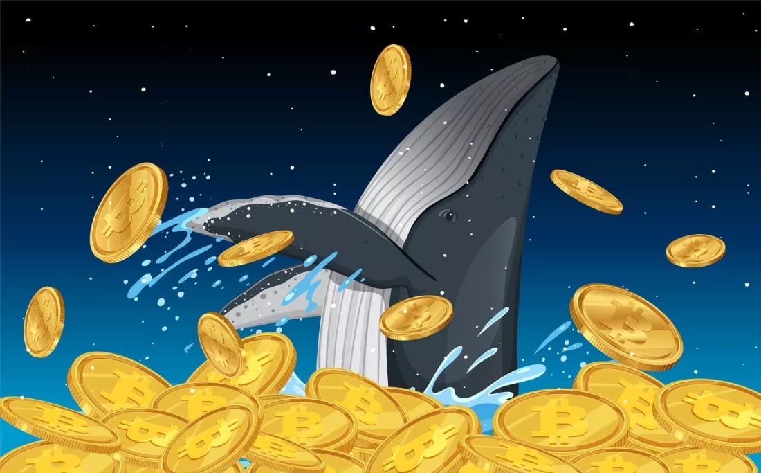 80.000 Bitcoin “ngủ đông” từ năm 2011 bất ngờ được chuyển đi