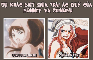 One Piece: Tìm hiểu sức mạnh về 2 trái ác quỷ 