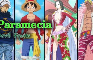 One Piece: Có thật Trái ác quỷ hệ Paramecia chỉ toàn những khả năng “vô dụng”?