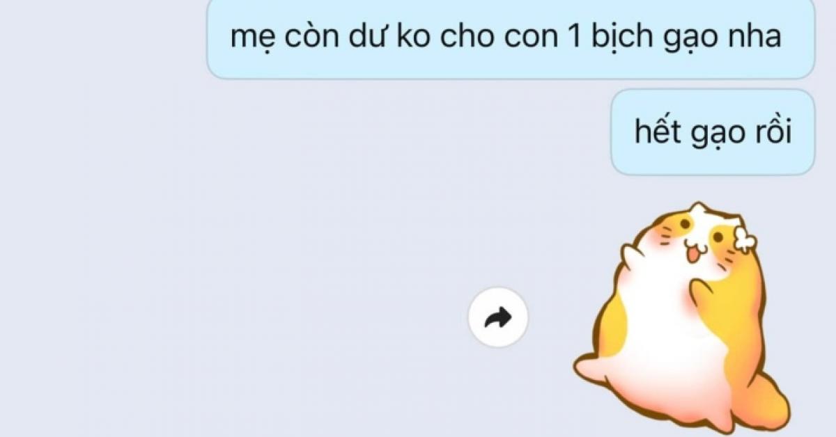 Cô gái khoe thành tích 