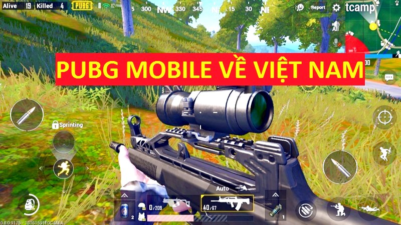 PUBG Mobile về Việt Nam - Lộ nhà phát hành sẽ 