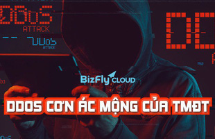 Ác mộng DDoS của hầu hết các website TMĐT- Nỗi đau không của riêng ai