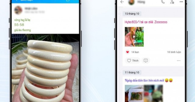 Coi chừng tài khoản Zalo bị khóa vĩnh viễn khi đăng nội dung như thế này