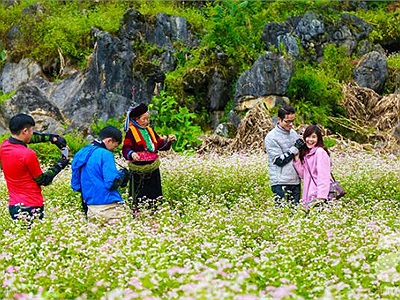 Lên Hà Giang ngay thôi em ơi, Lễ hội Hoa Tam Giác Mạch rực rỡ nhất năm đã về đây rồi!