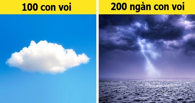 9 sự thật về cuộc sống siêu thú vị bạn không thể bỏ qua