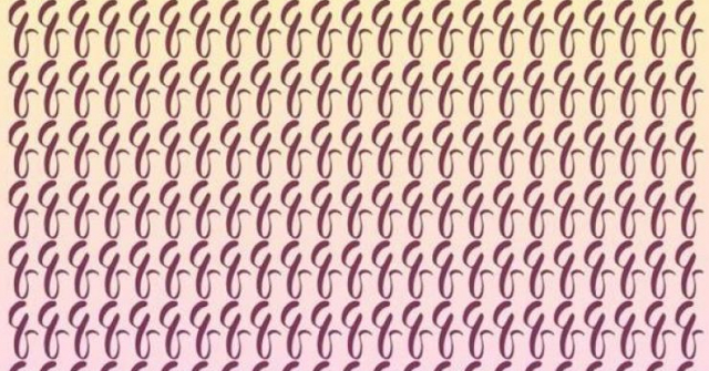 Loạt bài quiz thị giác khiến bạn rối não cũng chưa giải được