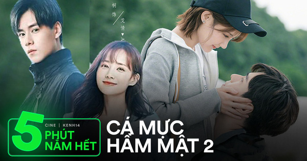 Làm QUIZ 5 phút nắm hết Cá Mực Hầm Mật 2, vượt ải 100% hẵng mong 