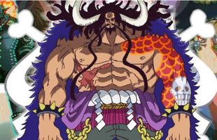 Kaido đã thành công khi xây dựng một băng hải tặc Bách Thú có tổ chức tốt nhất trong One Piece