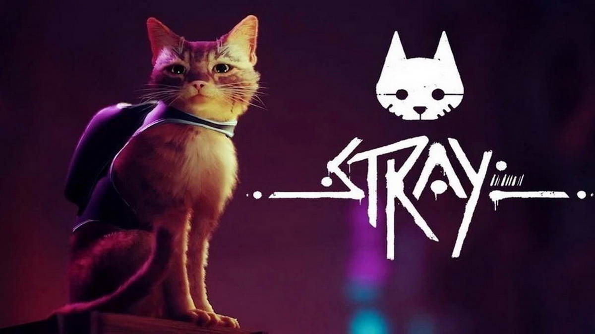 Stray giúp con sen hóa hoàng thượng trên PS5