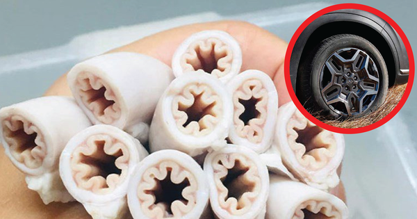 Phát hiện bất ngờ của dân mạng Việt: Nhà thiết kế Hàn lấy cảm hứng từ... lòng se điếu?!?