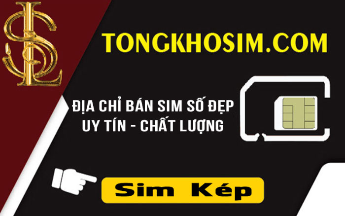 Sim kép – Dãy số đối xứng ấn tượng, dễ ghi nhớ cho người dùng