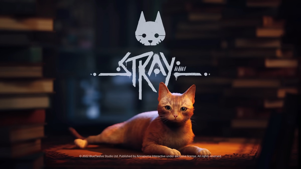 Stray: Những gì chúng ta đã biết về hoàng thượng lang thang