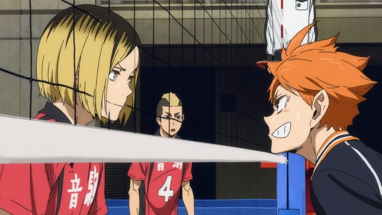 Haikyuu!!: Thành công rực rỡ nhưng tương lai mờ mịt?