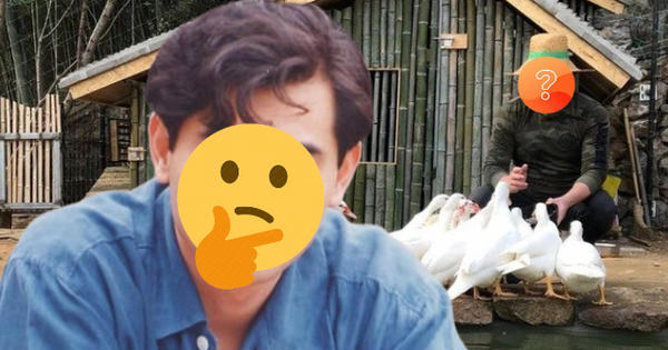 Showbiz có 1 mỹ nam được 2 nữ thần sắc đẹp yêu say đắm cũng chẳng màng, bỏ về quê nuôi vịt chăn ngan