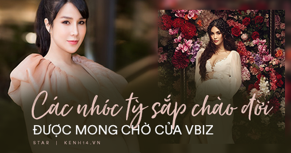 Vbiz sắp chào đón 6 nhóc tỳ ra đời: Bé gây chú ý khi báo tin vui, bé ngậm thìa vàng từ trong bụng mẹ!